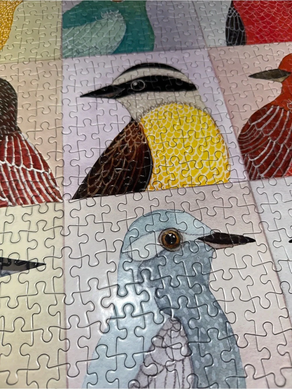 Galison avian friends